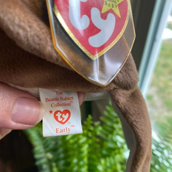 Ty Beanie Baby - Early the Robin Bird - Style Number #04190 - Picture 4 of 7